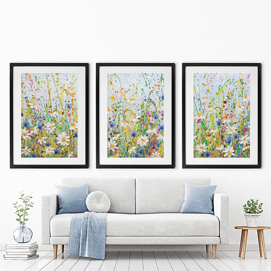 Daisy Splash Framed Art Print Trio