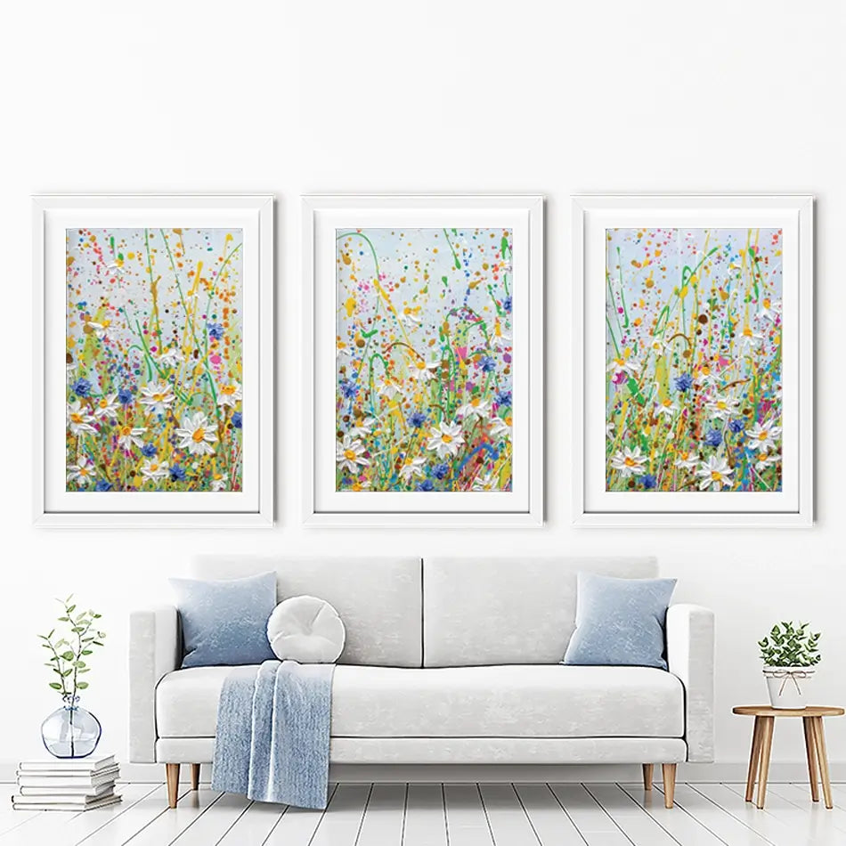 Daisy Splash Framed Art Print Trio