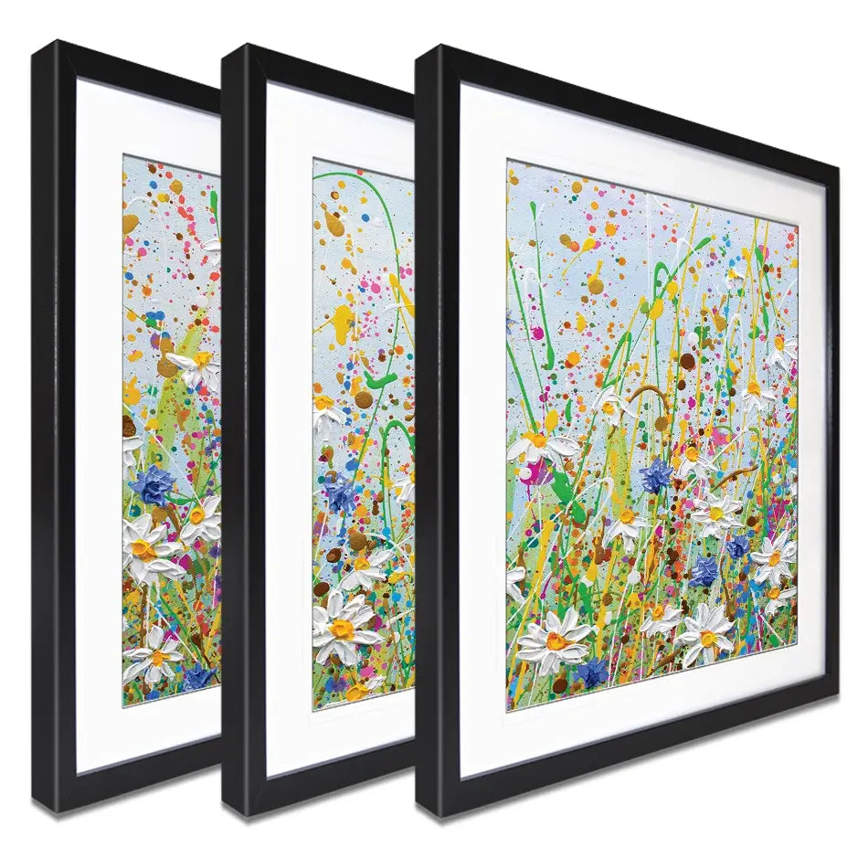 Daisy Splash Framed Art Print Trio