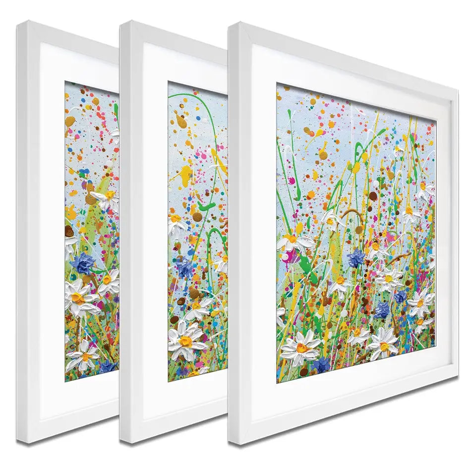 Daisy Splash Framed Art Print Trio