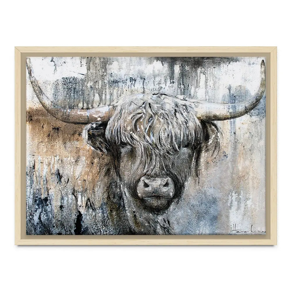 Weathered Highland Cow Canvas Print