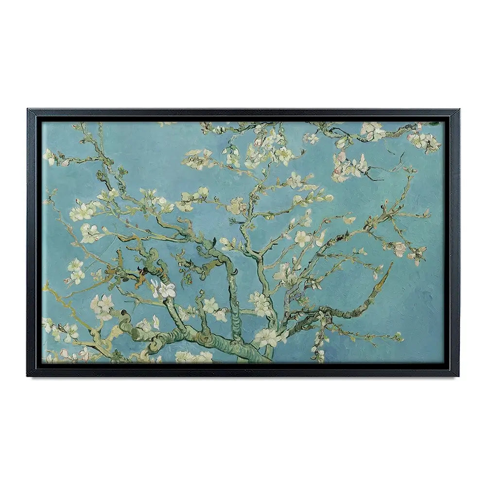 Almond Blossoms Canvas Print