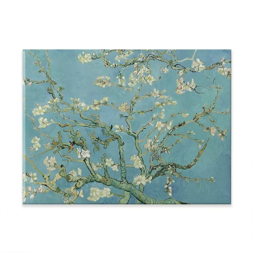 Almond Blossoms Canvas Print