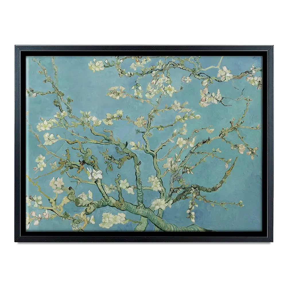 Almond Blossoms Canvas Print