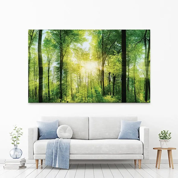 Scenic Forest Canvas Print – Art Print Shop