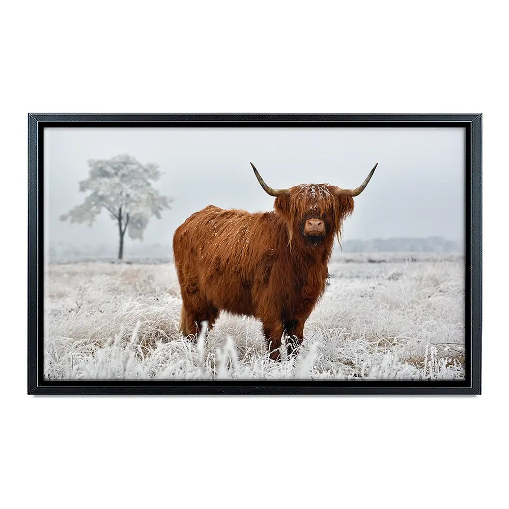 Winter Cow Canvas Print