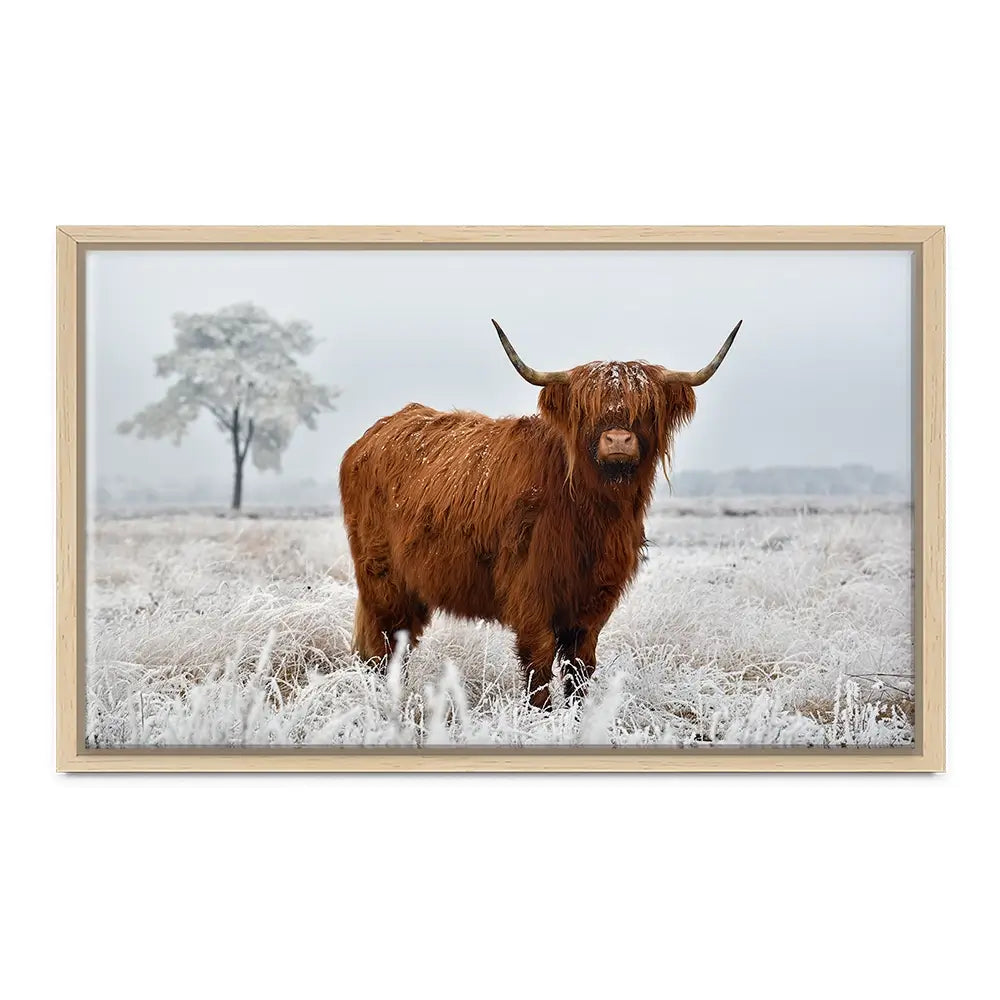 Winter Cow Canvas Print