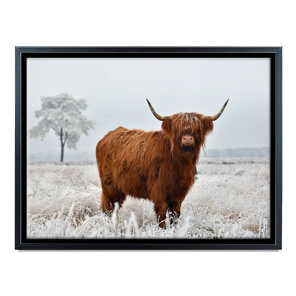 Winter Cow Canvas Print