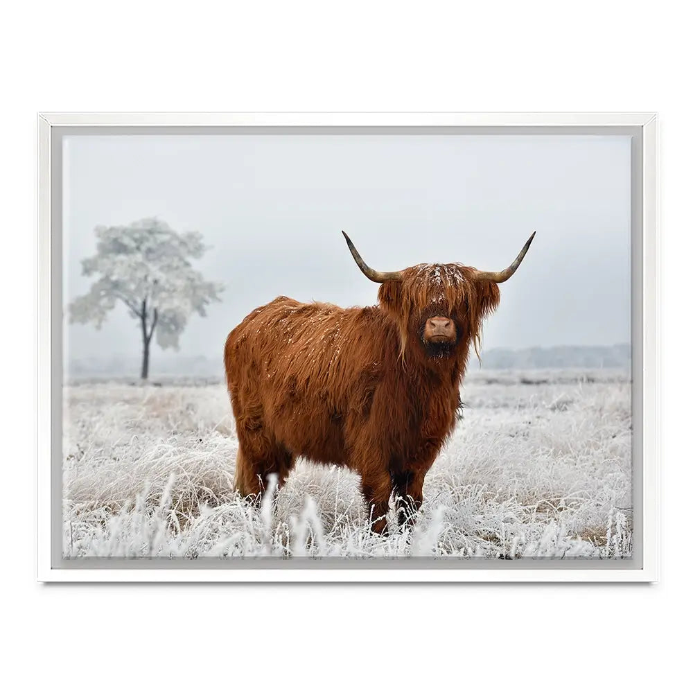 Winter Cow Canvas Print