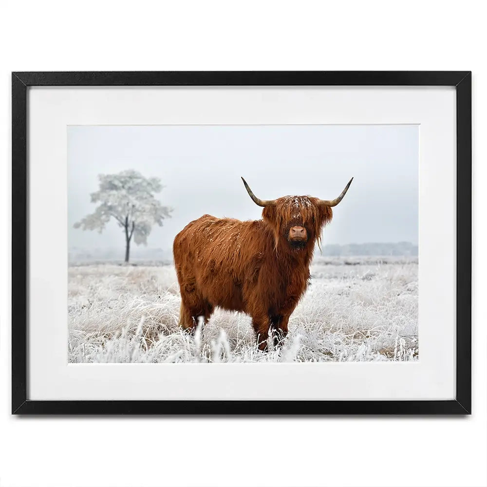 Winter Cow Framed Art Print