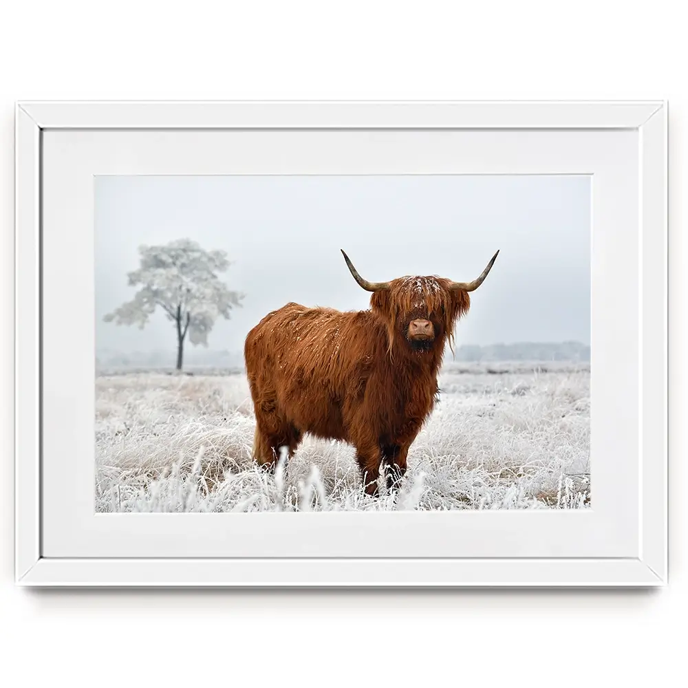 Winter Cow Framed Art Print