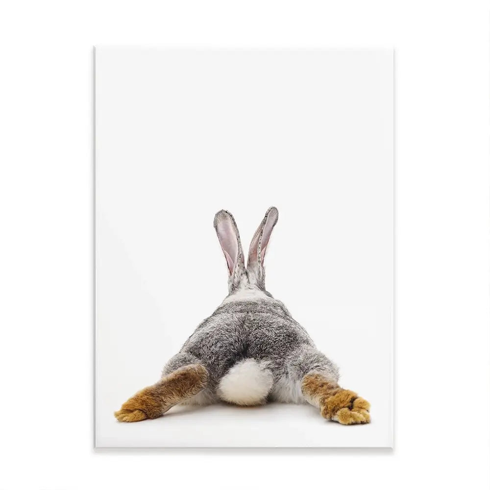 Bunny Rabbit Tail Canvas Print