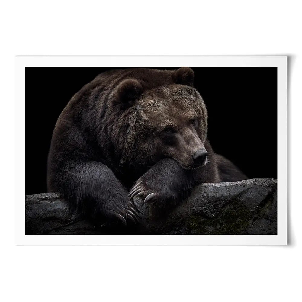 Bear Art Print