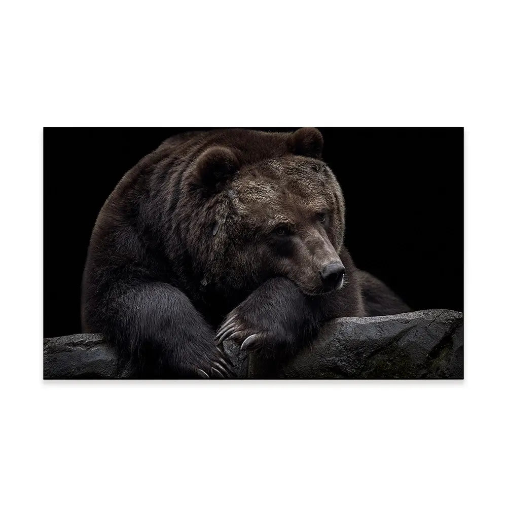 Bear Canvas Print