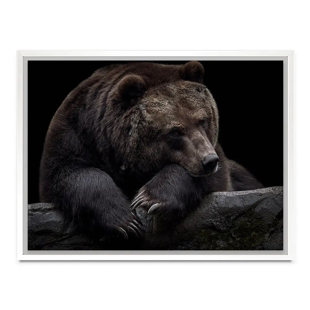 Bear Canvas Print