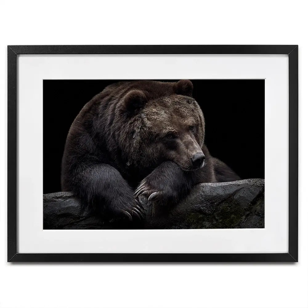 Bear Framed Art Print