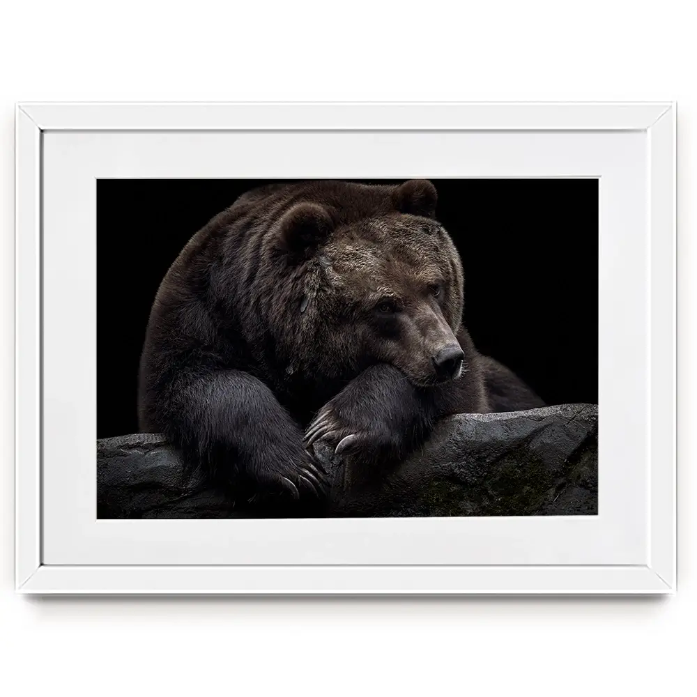 Bear Framed Art Print