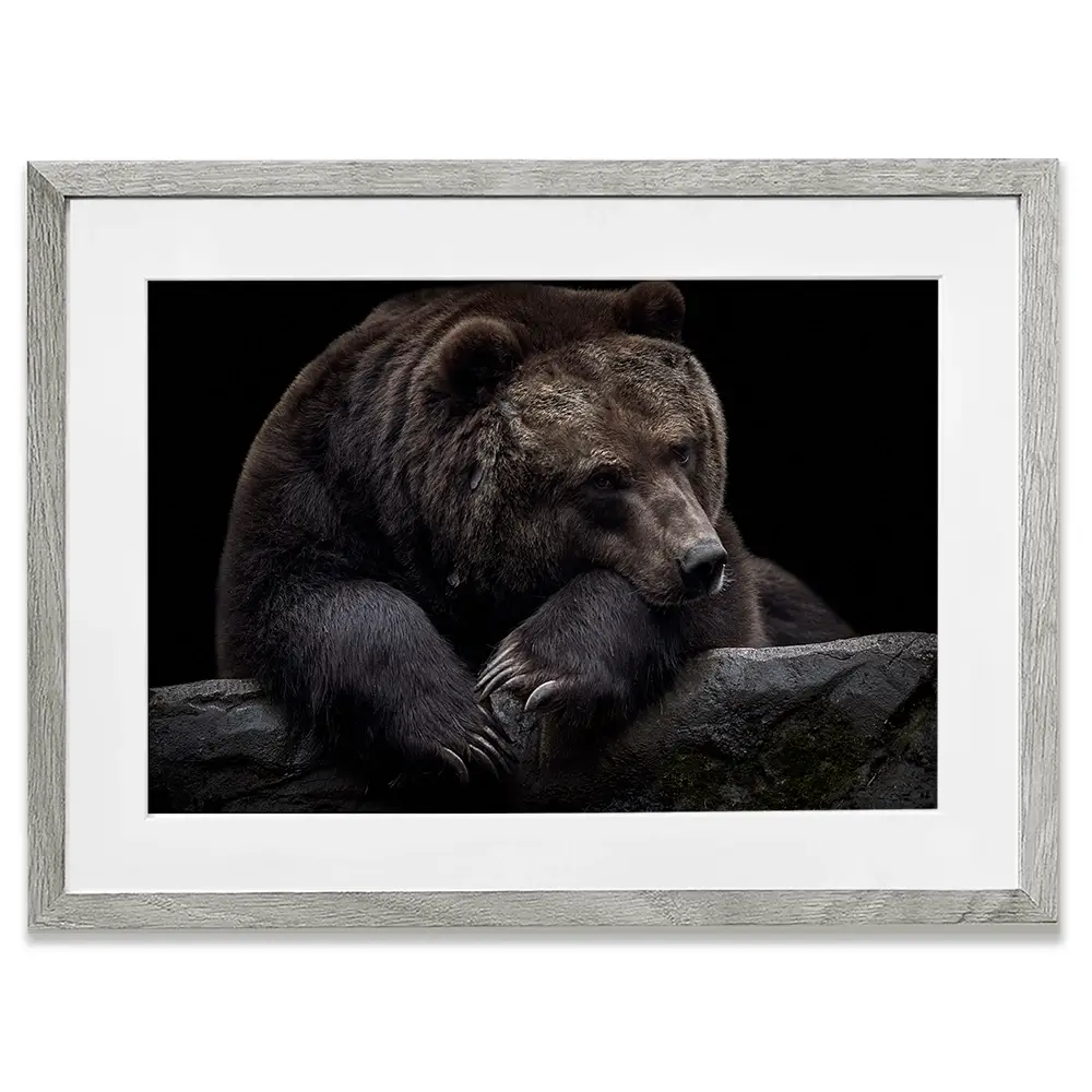 Bear Framed Art Print