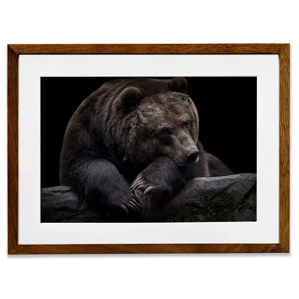 Bear Framed Art Print