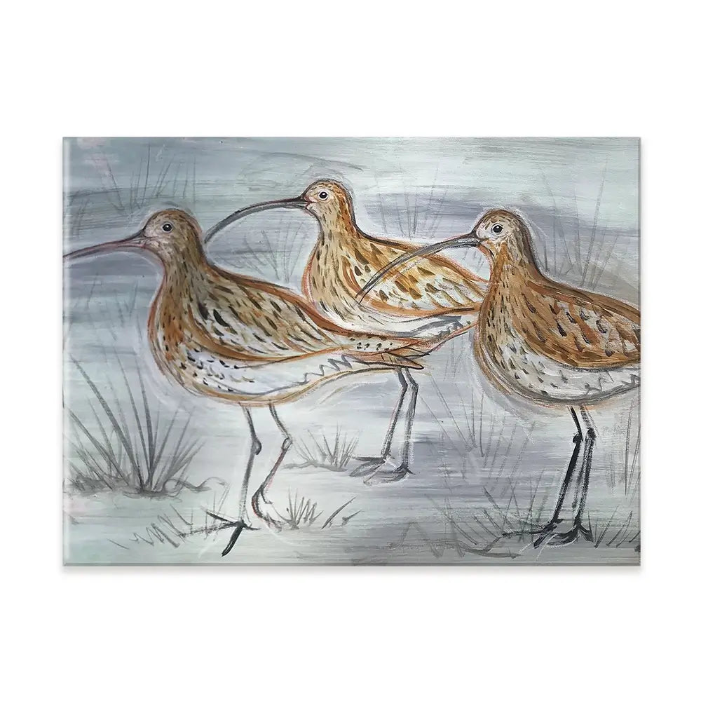 Three Curlews Canvas Print