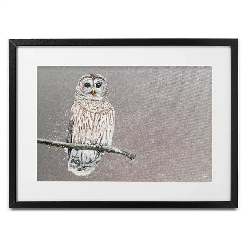 Tawny Owl At Night Framed Art Print