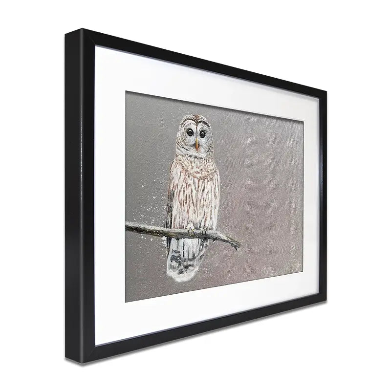 Tawny Owl At Night Framed Art Print