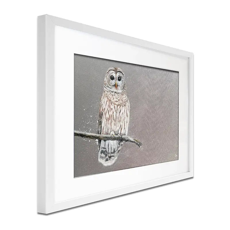 Tawny Owl At Night Framed Art Print