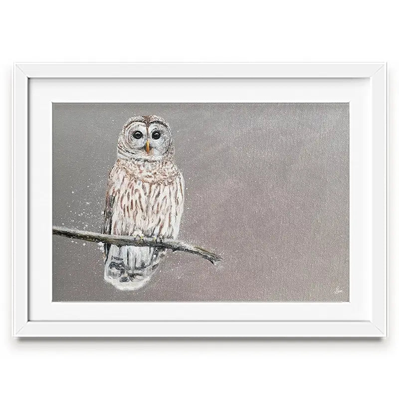 Tawny Owl At Night Framed Art Print