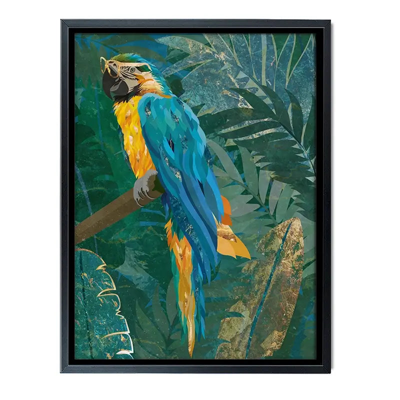 Macaw Canvas Print