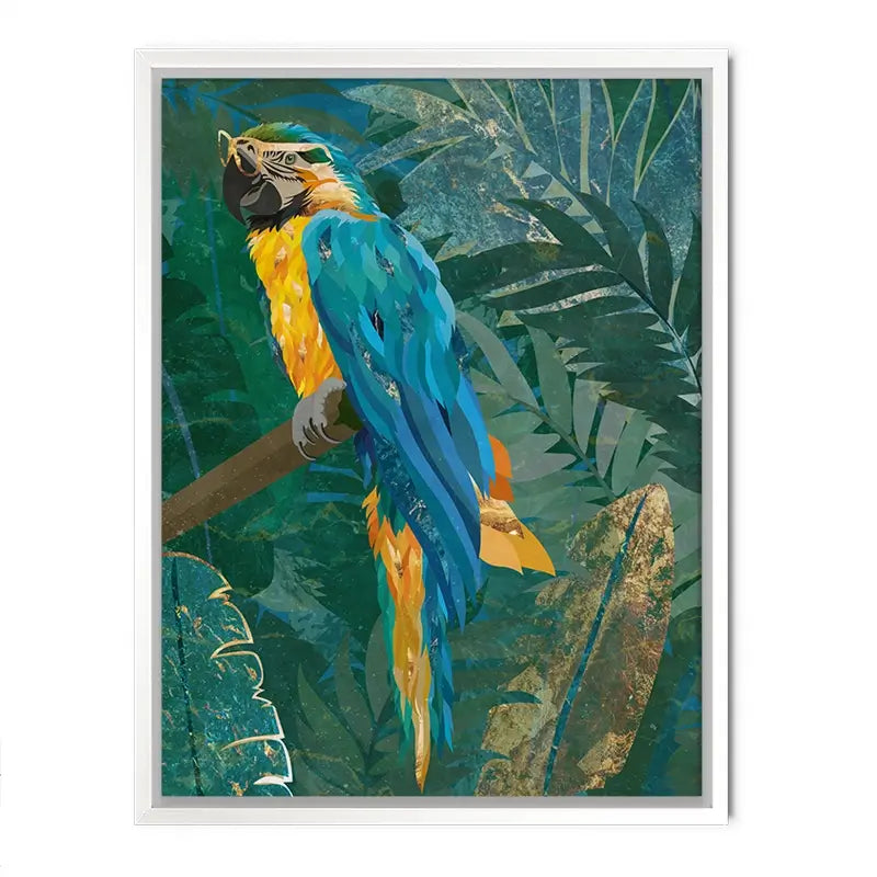 Macaw Canvas Print