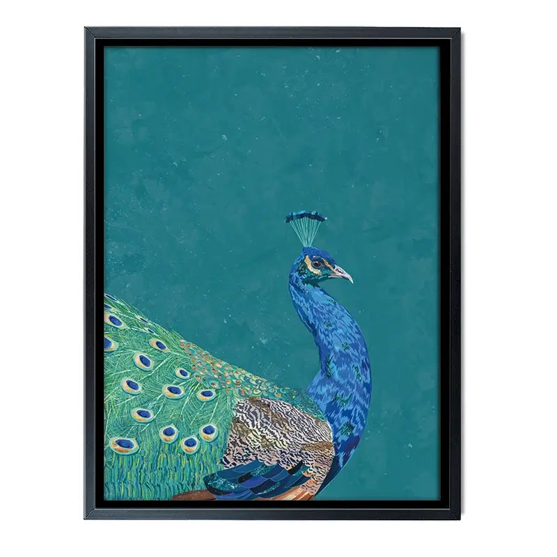 Vibrant Peacock Canvas Print