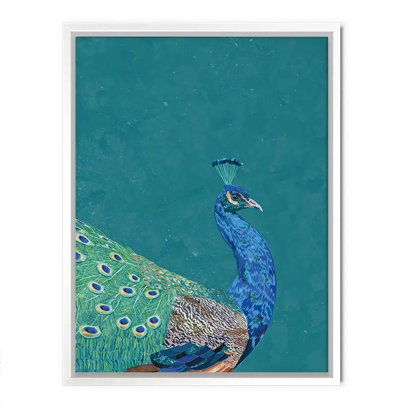 Vibrant Peacock Canvas Print