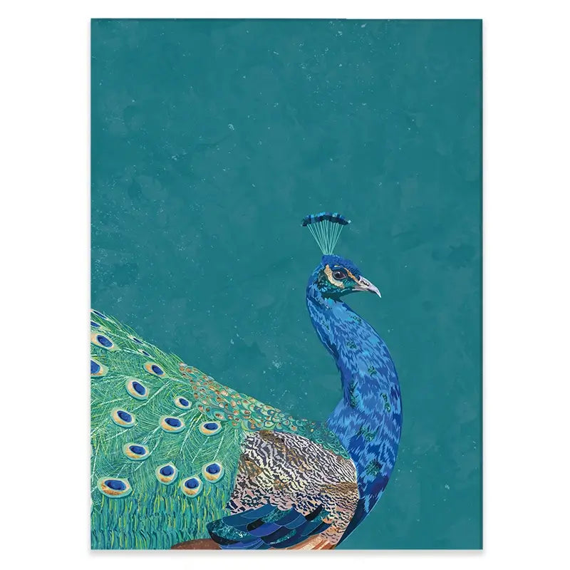 Vibrant Peacock Canvas Print