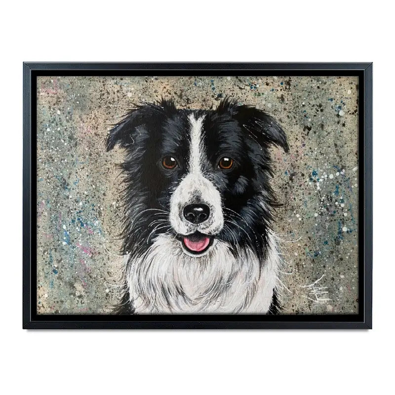 Border Collie Canvas Print