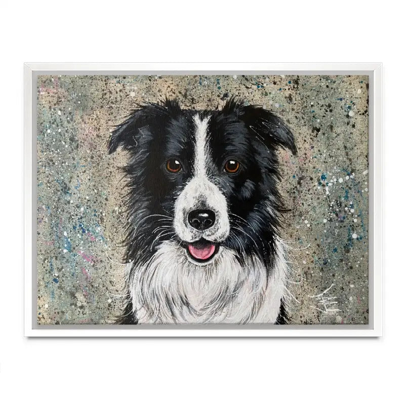 Border Collie Canvas Print