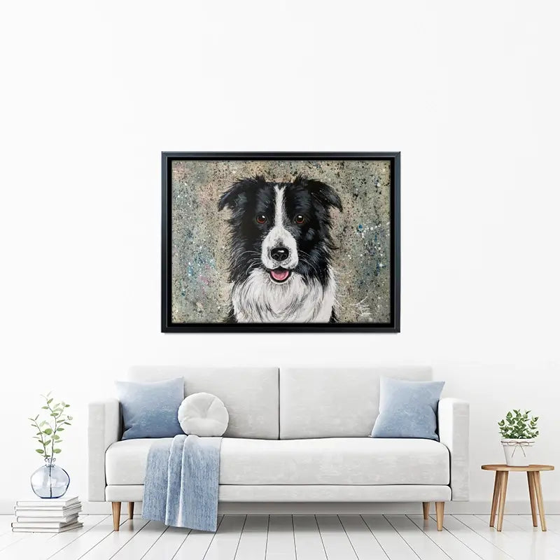 Border Collie Canvas Print