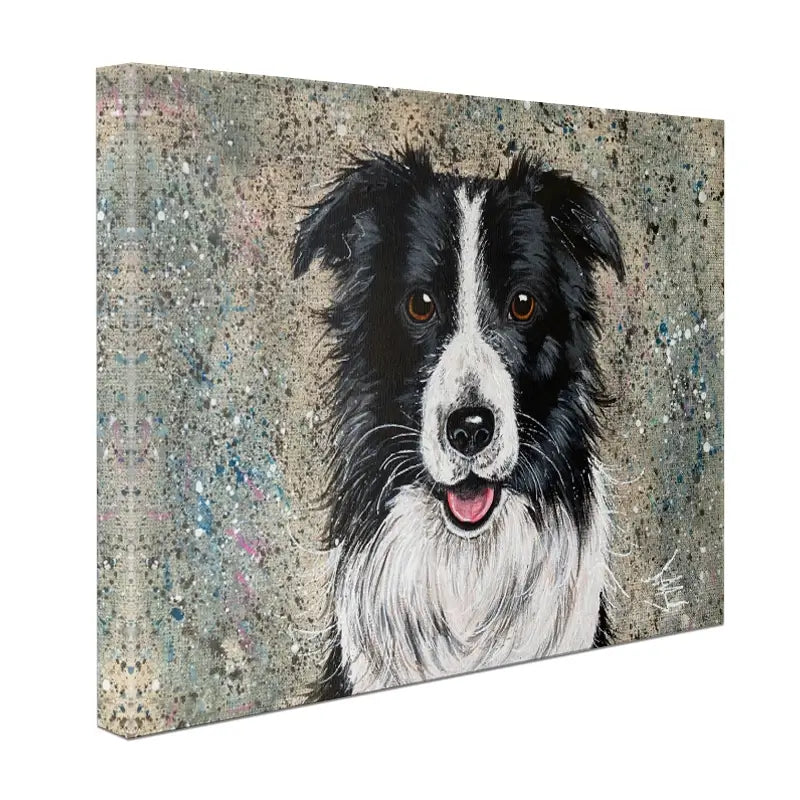 Border Collie Canvas Print