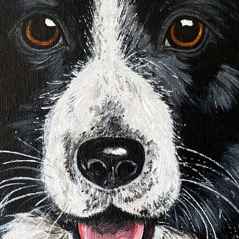 Border Collie Art Print