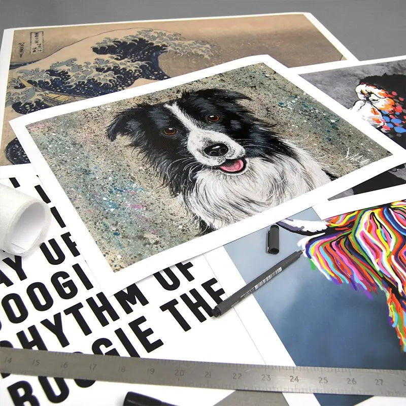 Border Collie Art Print