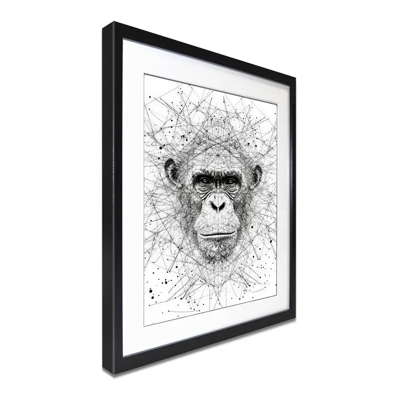 Chimpanzee Study Framed Art Print