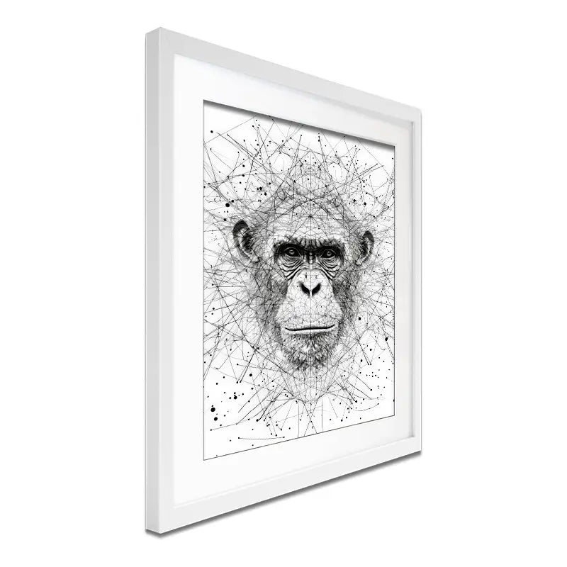 Chimpanzee Study Framed Art Print