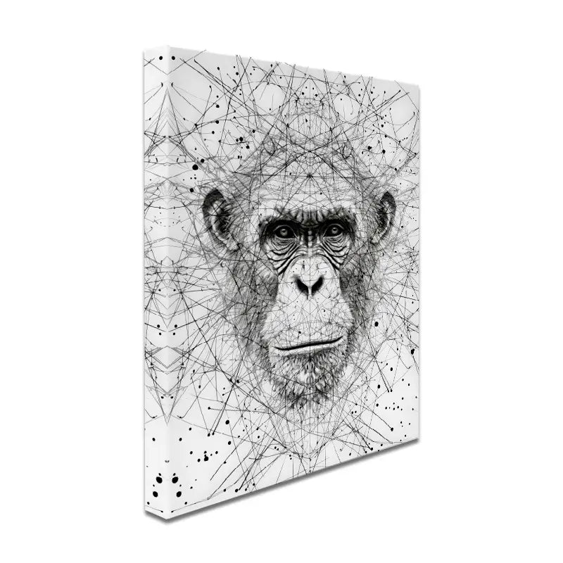 Chimpanzee Study Canvas Print