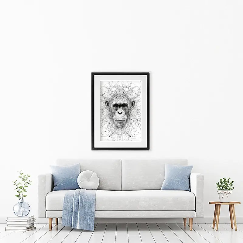 Chimpanzee Study Framed Art Print