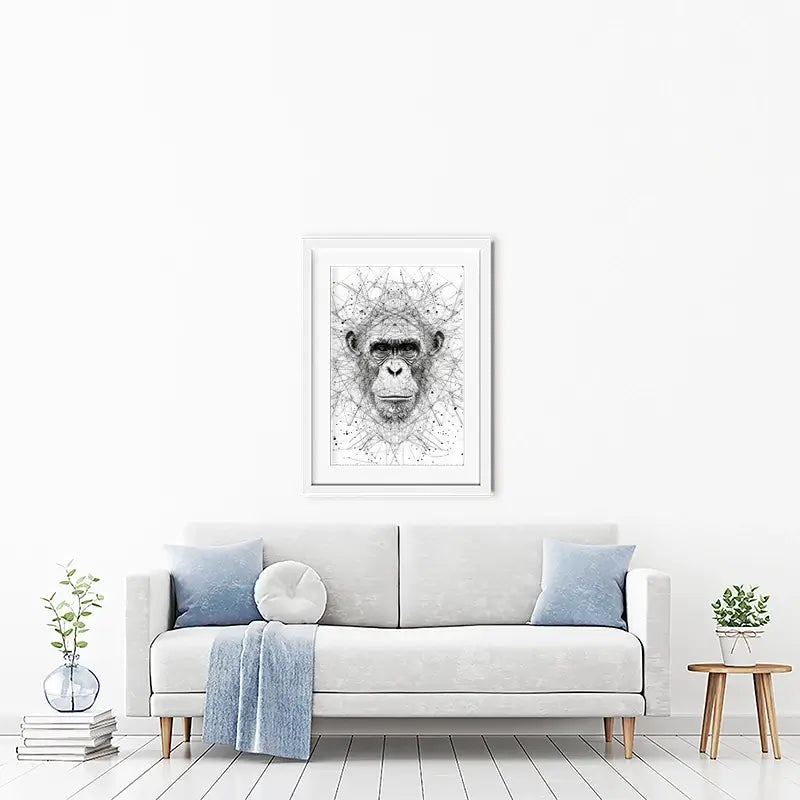 Chimpanzee Study Framed Art Print