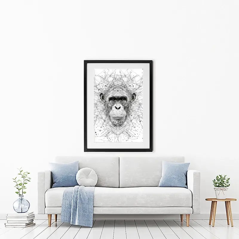 Chimpanzee Study Framed Art Print