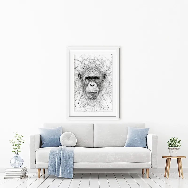 Chimpanzee Study Framed Art Print