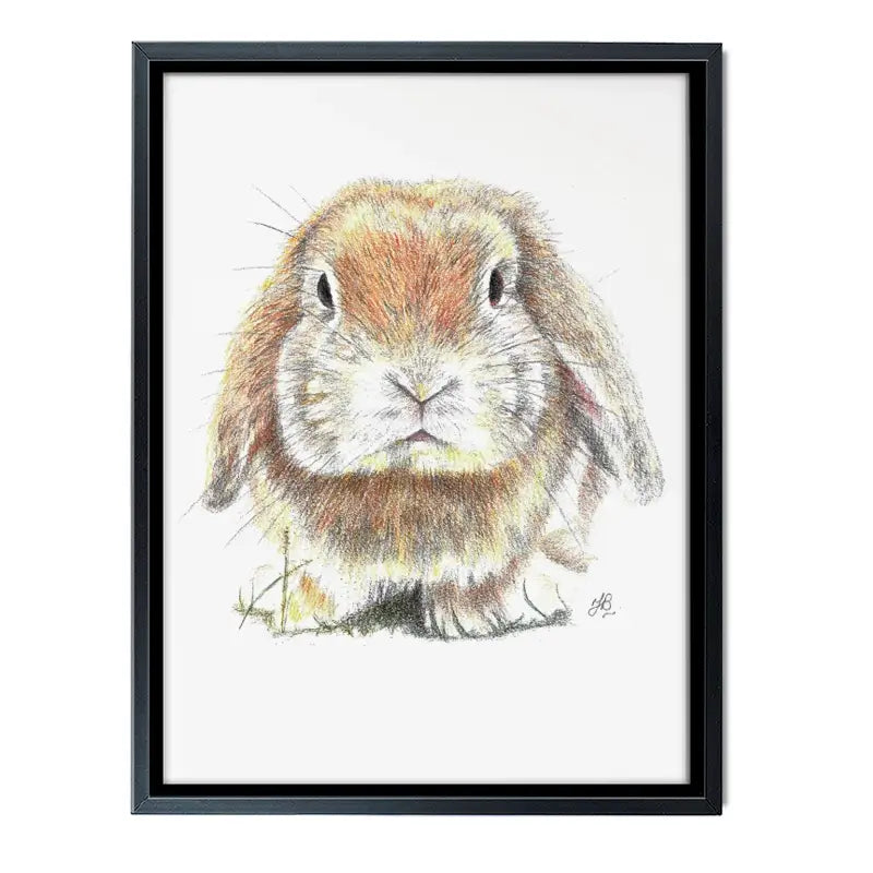 Bunny Illustration Canvas Print