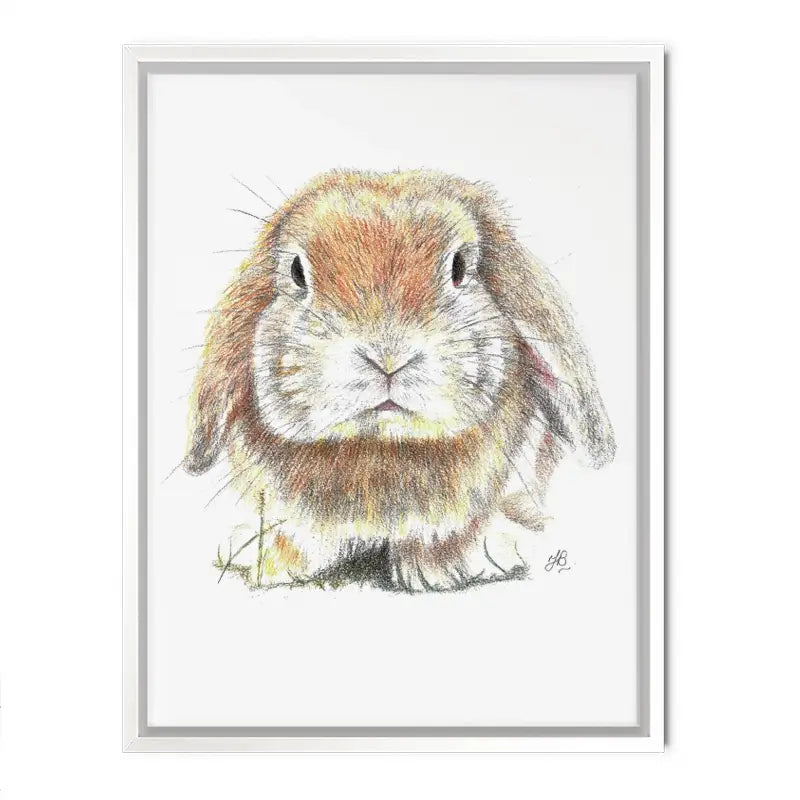 Bunny Illustration Canvas Print