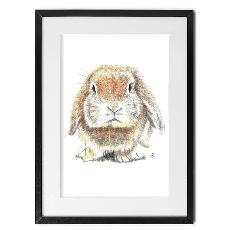 Bunny Illustration Framed Art Print