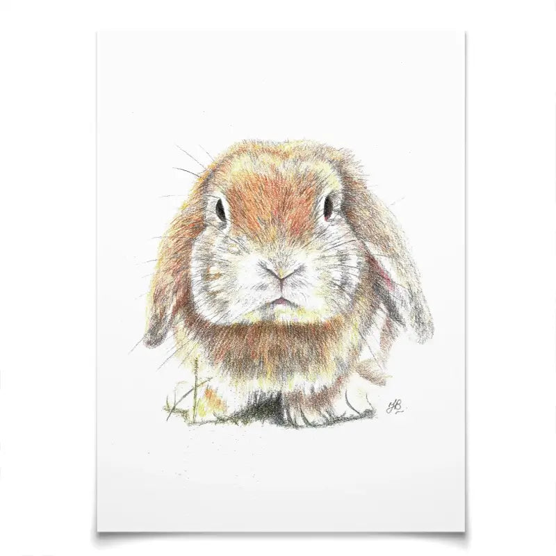 Bunny Illustration Art Print